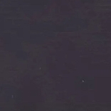 Венге